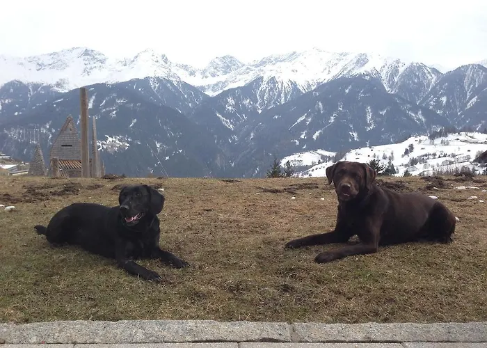 Апартаменты Bella Vista Apart *